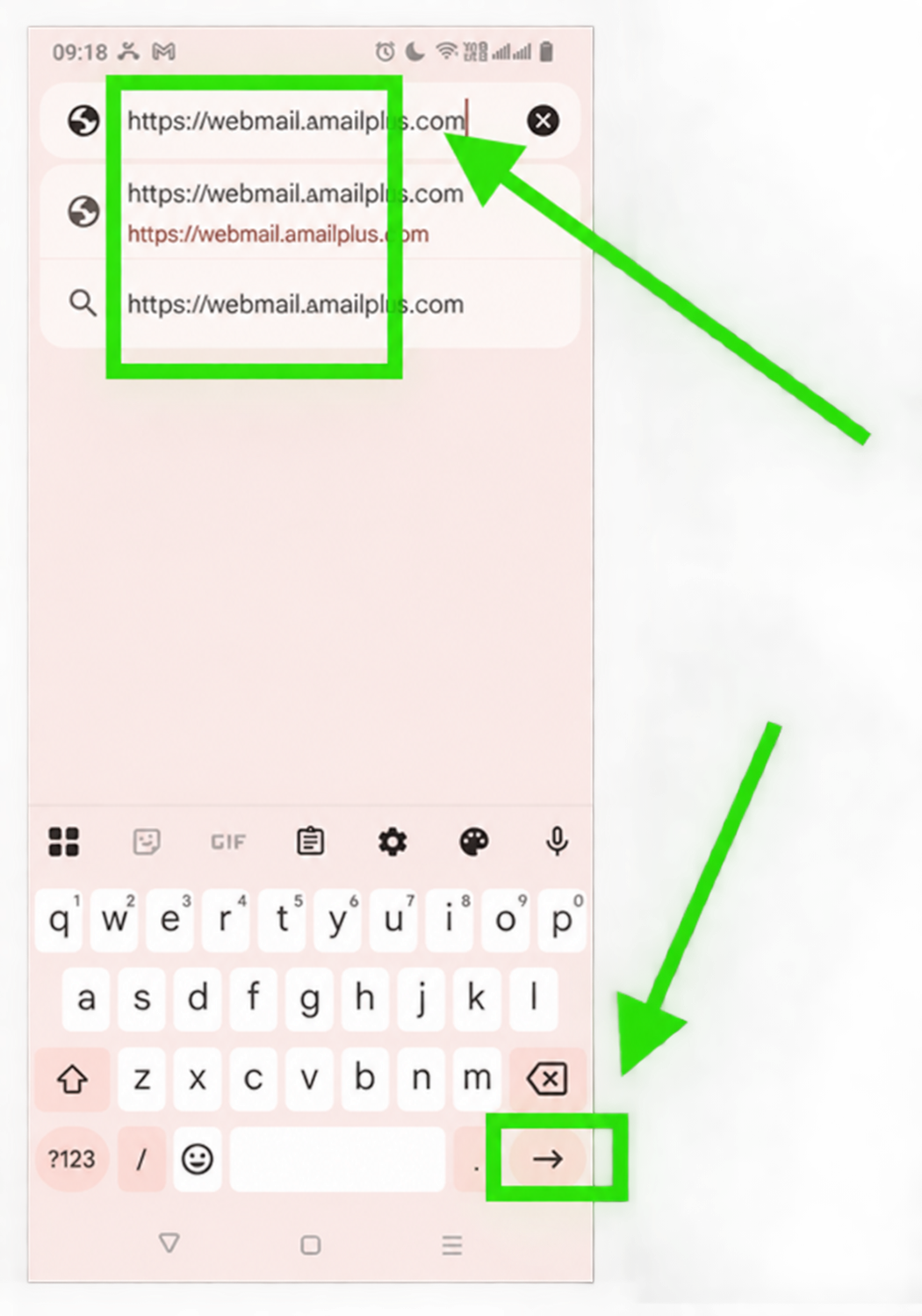 Enter webmail.amailplus.com and press Go